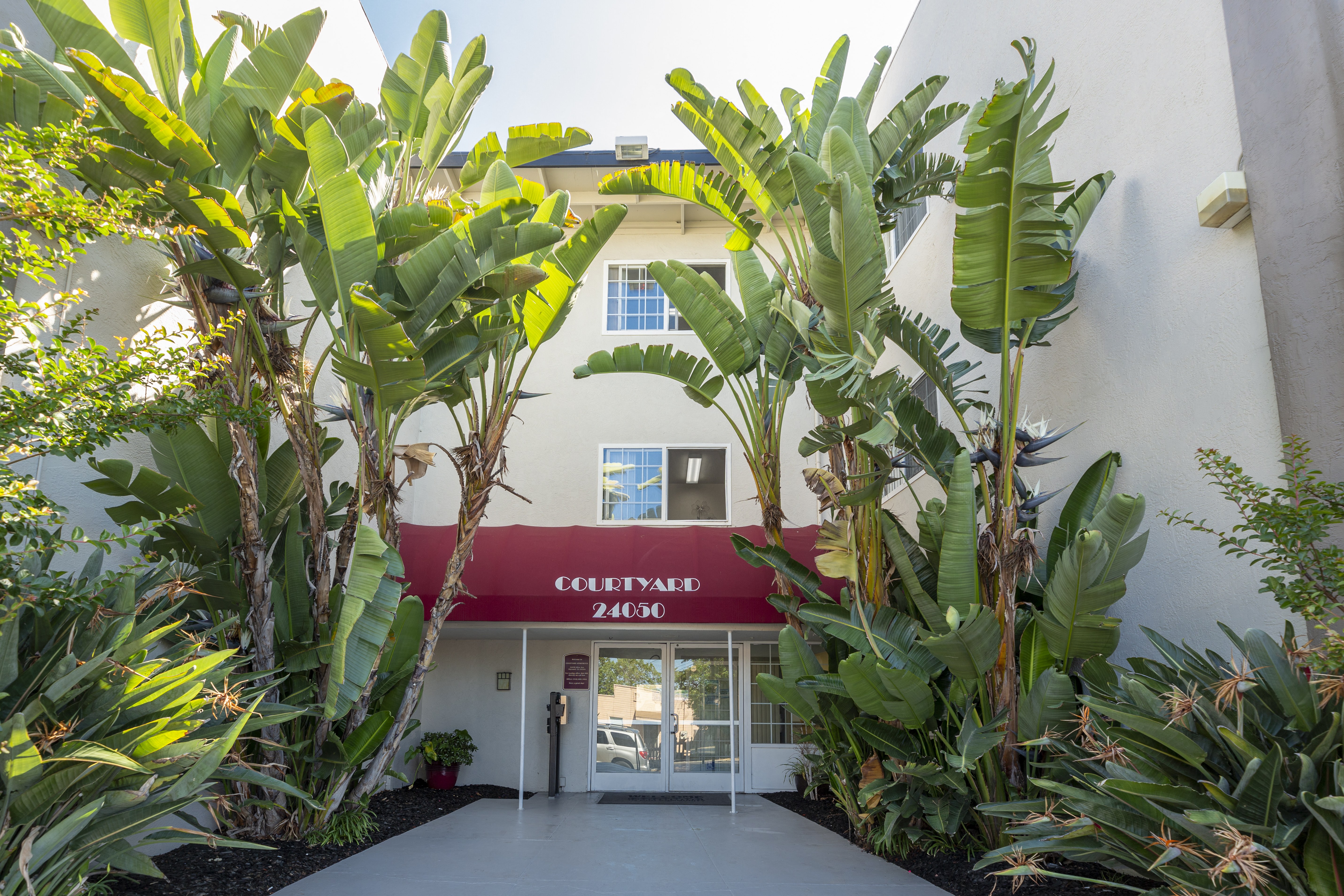 Courtyard Apartments photo 2